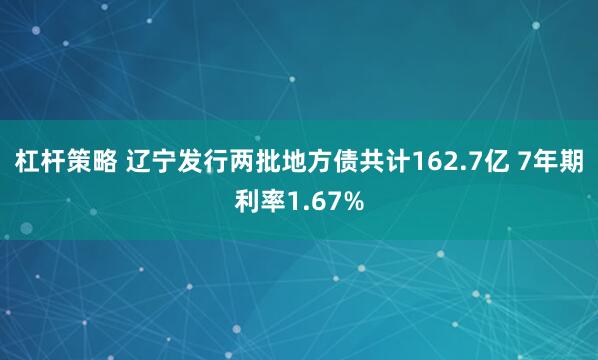 杠杆策略 辽宁发行两批地方债共计162.7亿 7年期利率1.67%