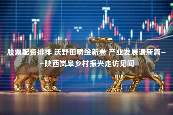 股票配资排排 沃野田畴绘新卷 产业发展谱新篇——陕西岚皋乡村振兴走访见闻