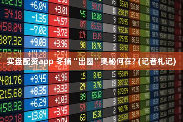 实盘配资app 冬捕“出圈”奥秘何在? (记者札记)